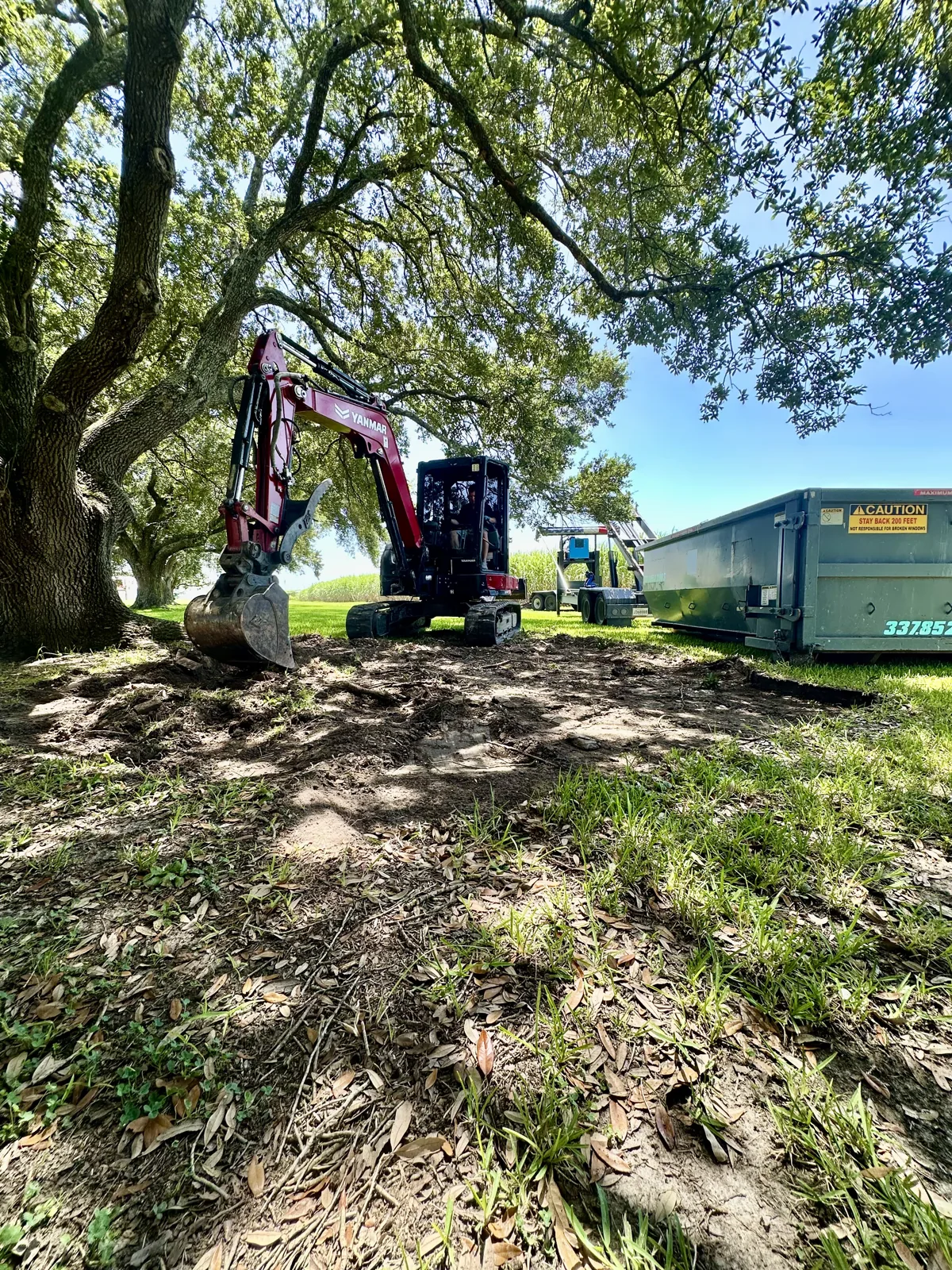Mini excavator parked beside a roll-off container under a live oak