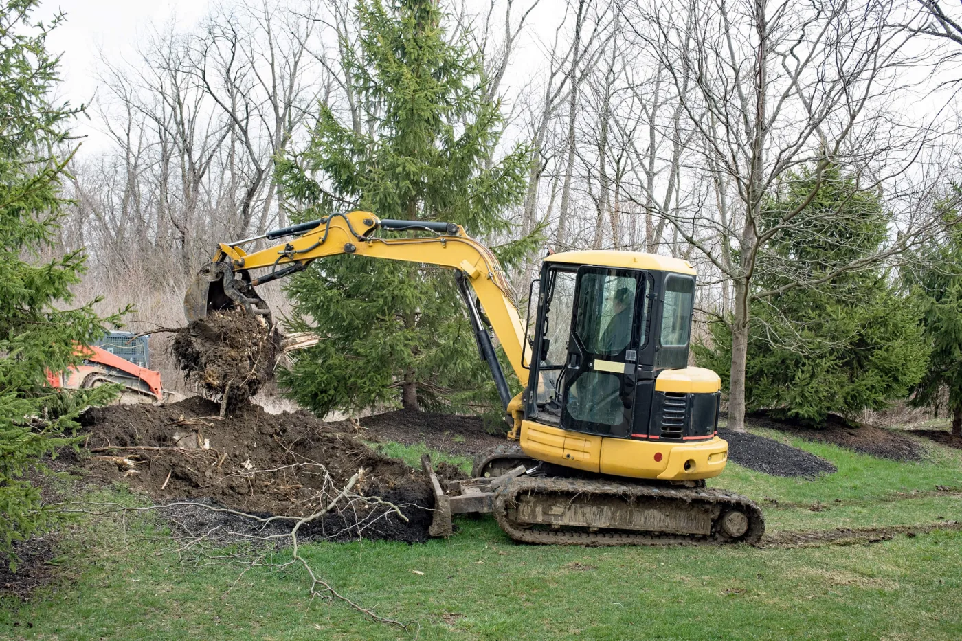 Stump Removal in New Iberia, LA